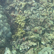 Picture 023